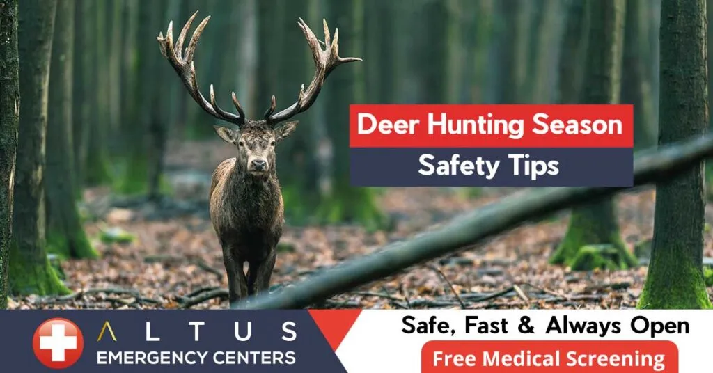deer in forest