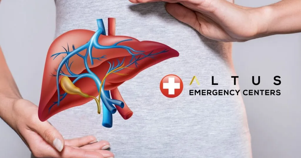 liver graphic