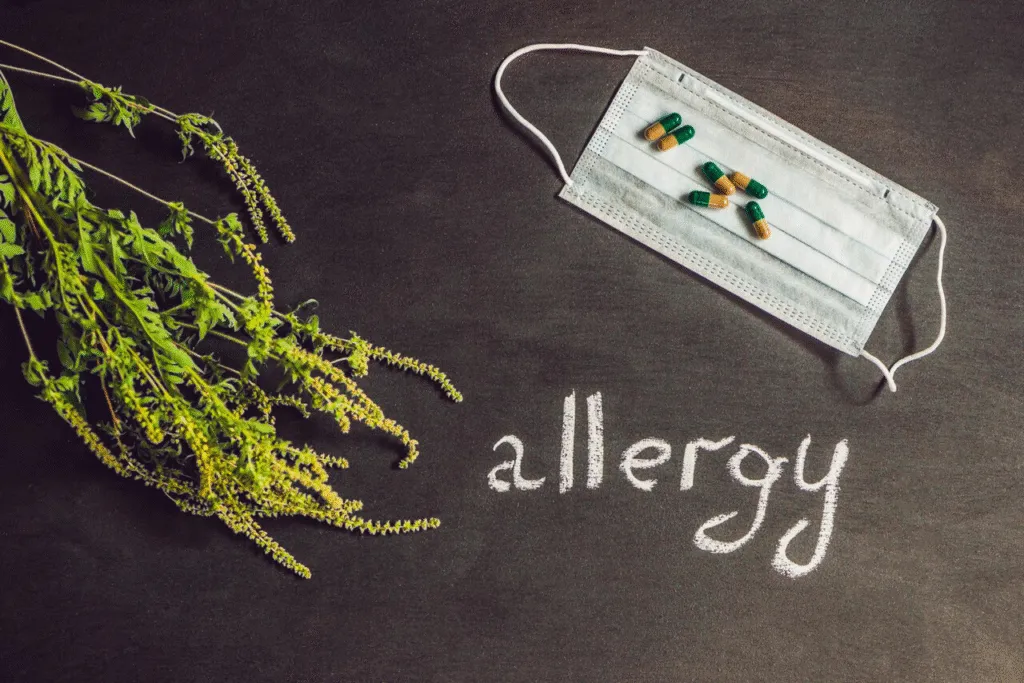 white mask with green and yellow capsules scattered on top of it, on the left side of greenery is visible, and below the mask, the word allergy is written
