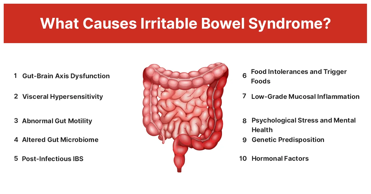 What Causes Irritable Bowel Syndrome
