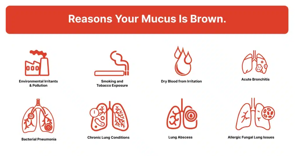 Infographic listing common causes of brown mucus