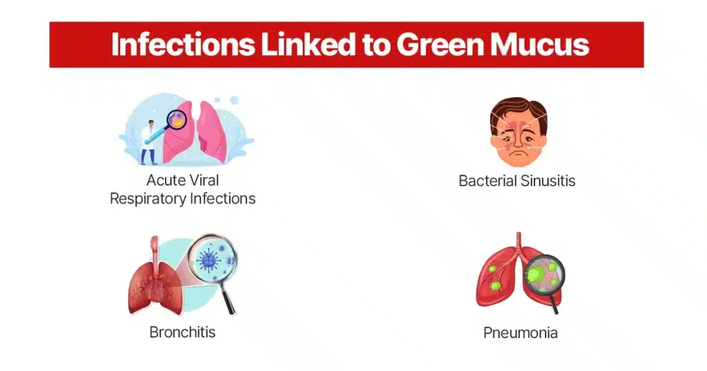 Infographic showing infections linked to green mucus.