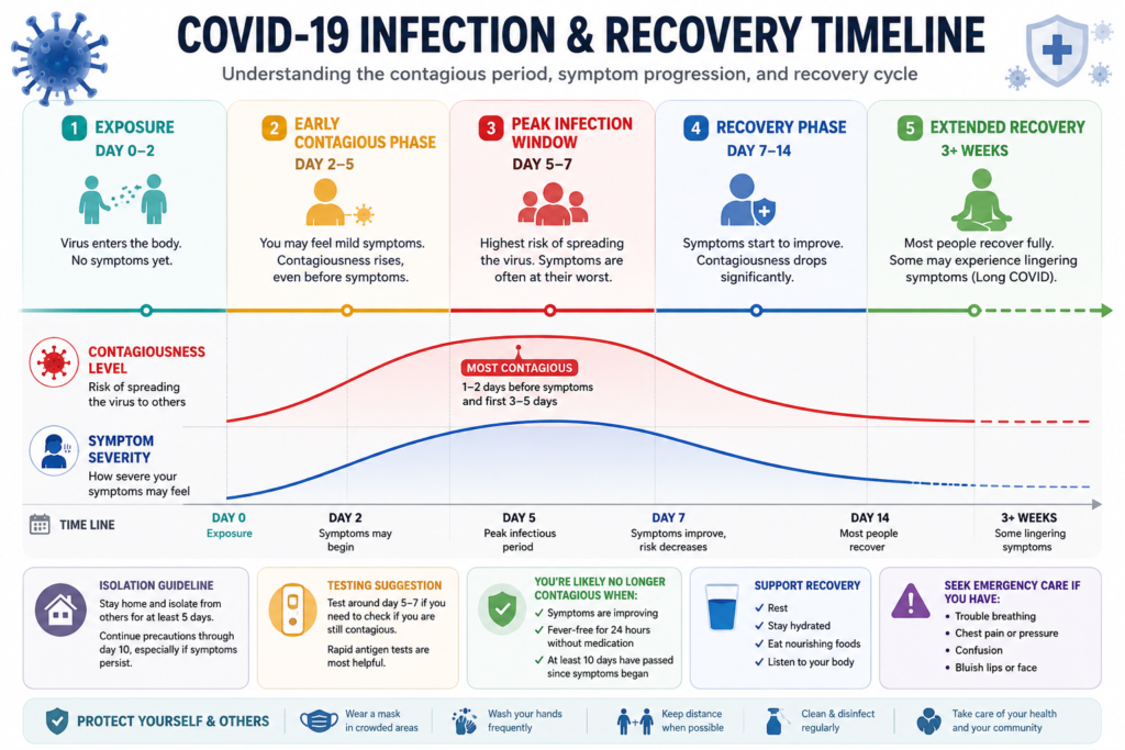 COVID-19 timeline showing contagious and recovery stages.
