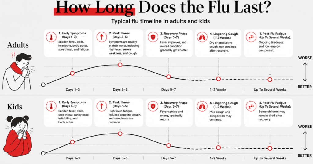 Flu timeline infographic showing symptoms and recovery stages for adults and kids.